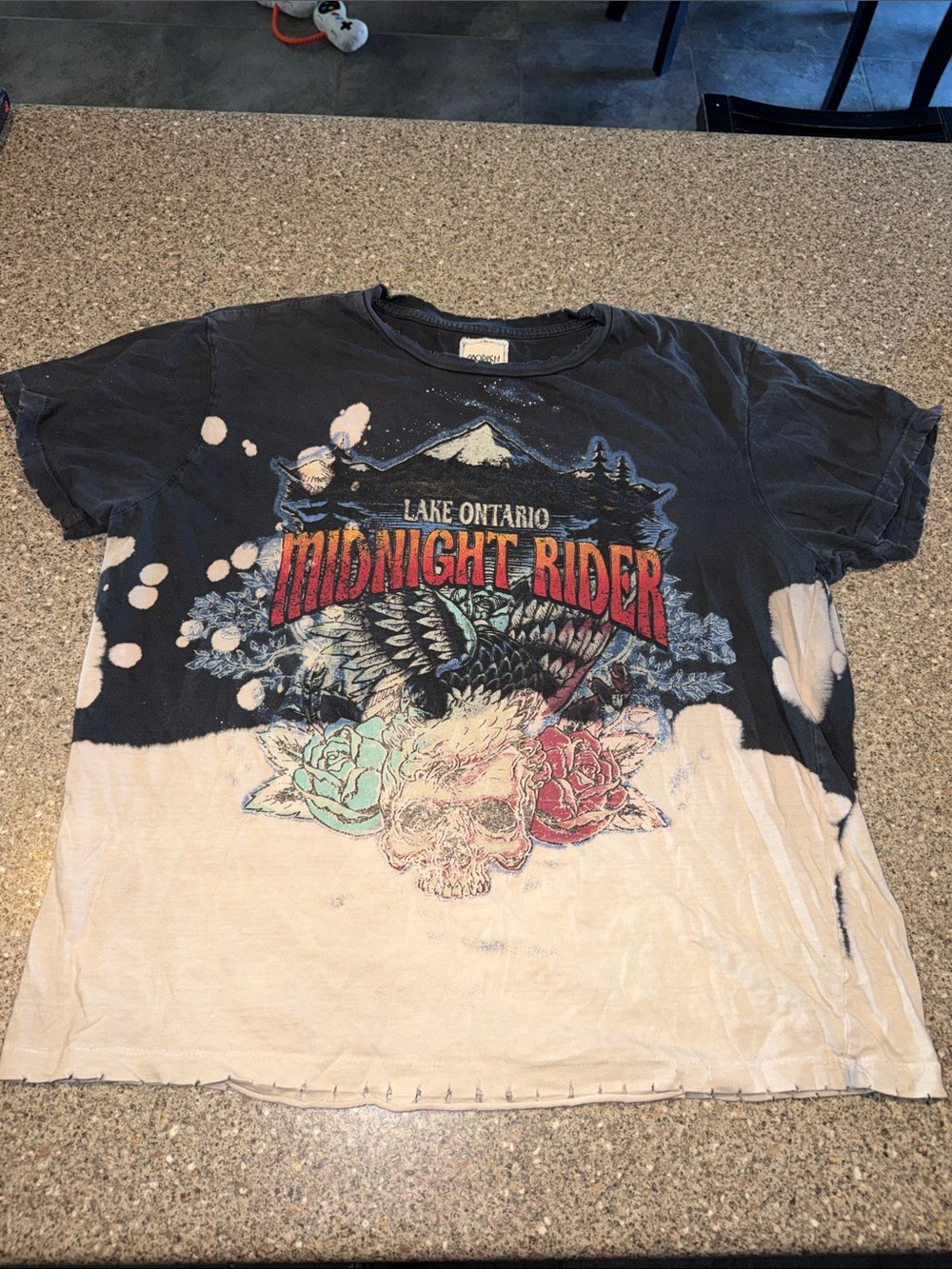Modish Rebel Lake Ontario Graphic Tee